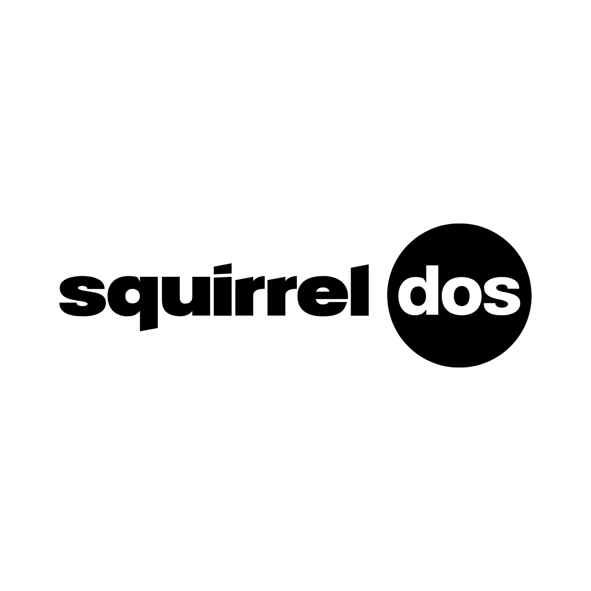 Squirrel 2