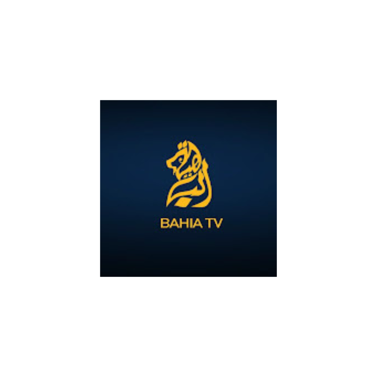 Bahia TV